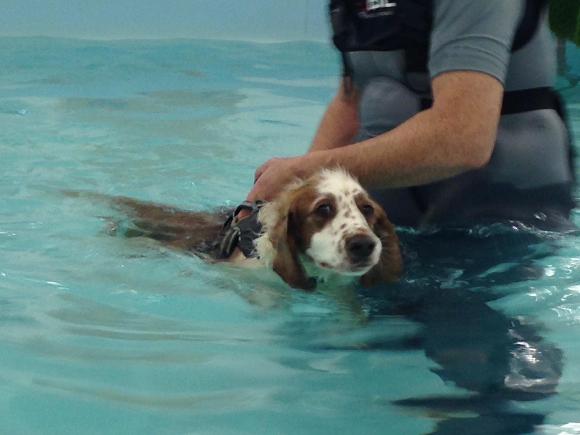 Hydrotherapy 2