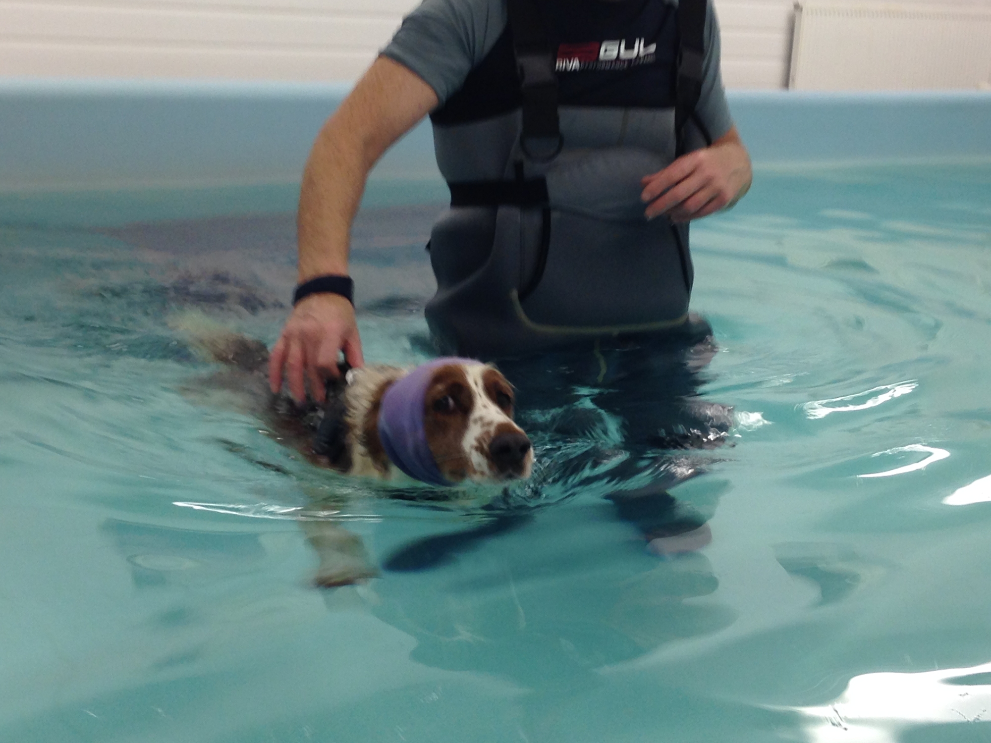 Hydrotherapy 3