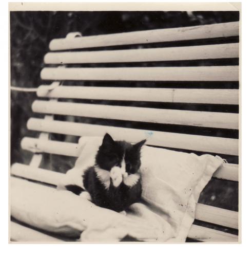 I should be clean soon